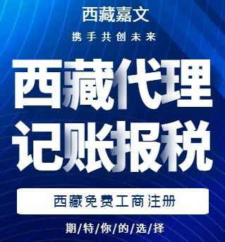 西藏代理記賬收費(fèi)標(biāo)準(zhǔn)與條件解析